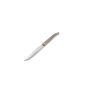 Steak knife pakka grey Carve - set/4