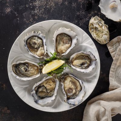 Oyster plate 23,5cm white Appetite